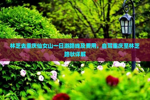 林芝去重庆仙女山一日游路线及费用，自驾重庆至林芝路状详解