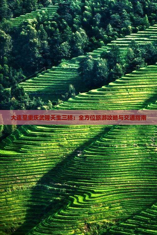 大连至重庆武隆天生三桥：全方位旅游攻略与交通指南