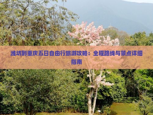 潍坊到重庆五日自由行旅游攻略：全程路线与景点详细指南