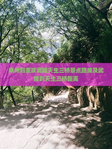 泰州到重庆武隆天生三桥景点路线及武隆到天生三桥距离