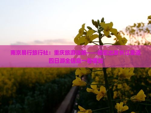 南京易行旅行社：重庆旅游攻略——德宏出发长江索道四日游全信息一看便知