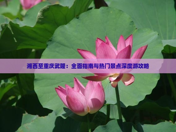 湘西至重庆武隆：全面指南与热门景点深度游攻略