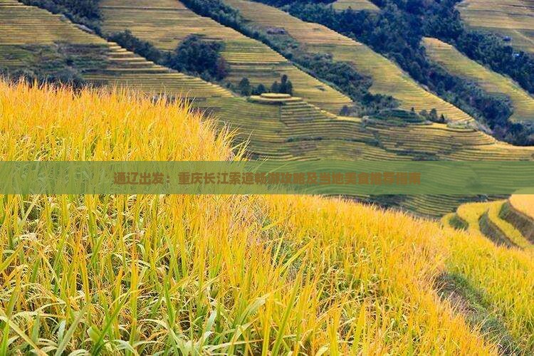 通辽出发：重庆长江索道畅游攻略及当地美食推荐指南