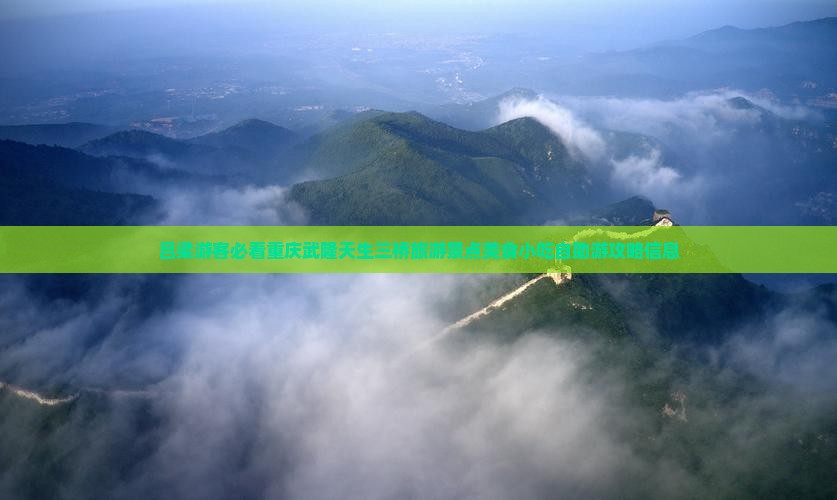 吕梁游客必看重庆武隆天生三桥旅游景点美食小吃自助游攻略信息