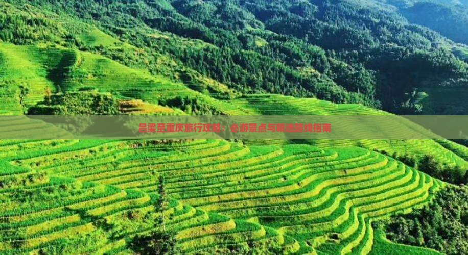 吕梁至重庆旅行攻略：必游景点与精选路线指南