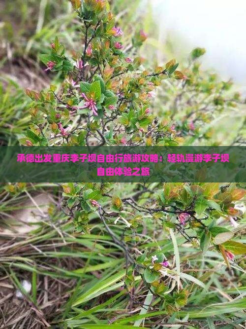 承德出发重庆李子坝自由行旅游攻略：轻轨漫游李子坝自由体验之旅