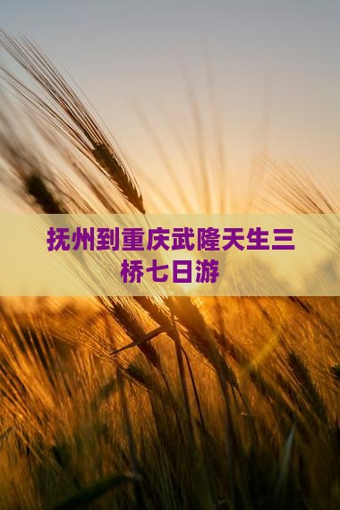 抚州到重庆武隆天生三桥七日游