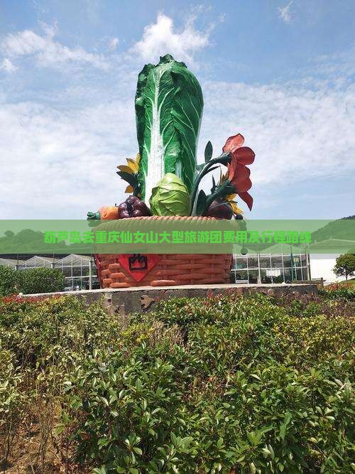 葫芦岛去重庆仙女山大型旅游团费用及行程路线