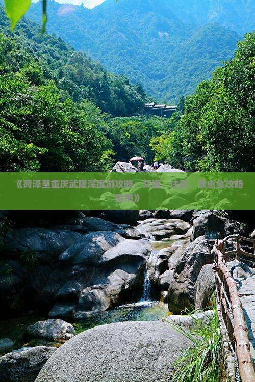 《菏泽至重庆武隆深度游攻略：交通、住宿、景点全攻略指南》