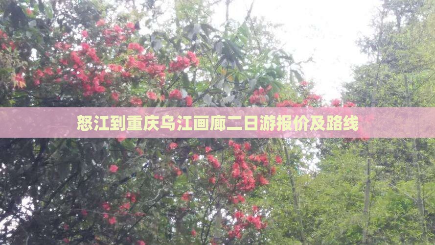 怒江到重庆乌江画廊二日游报价及路线