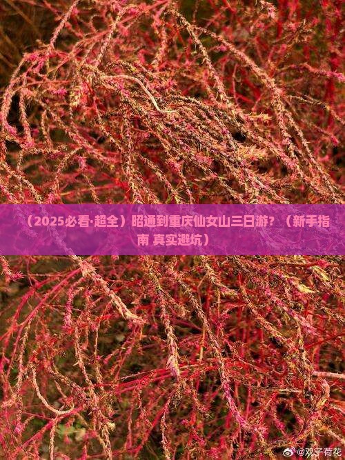 昭通到重庆仙女山三日游