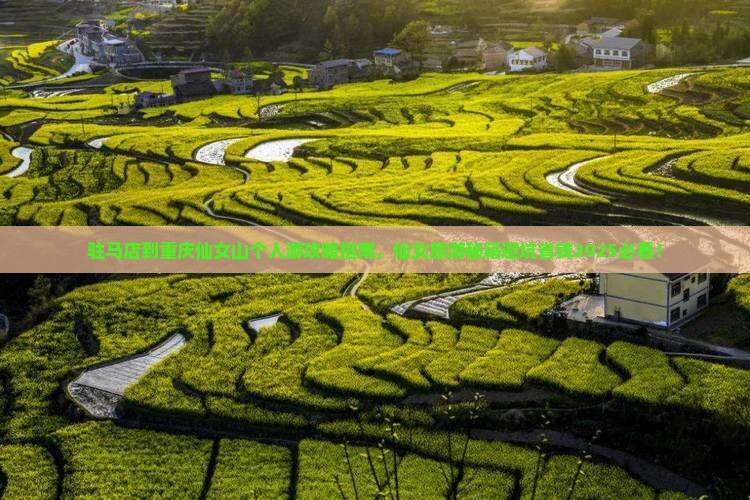 驻马店到重庆仙女山个人游 驻马店到重庆仙女山个人游