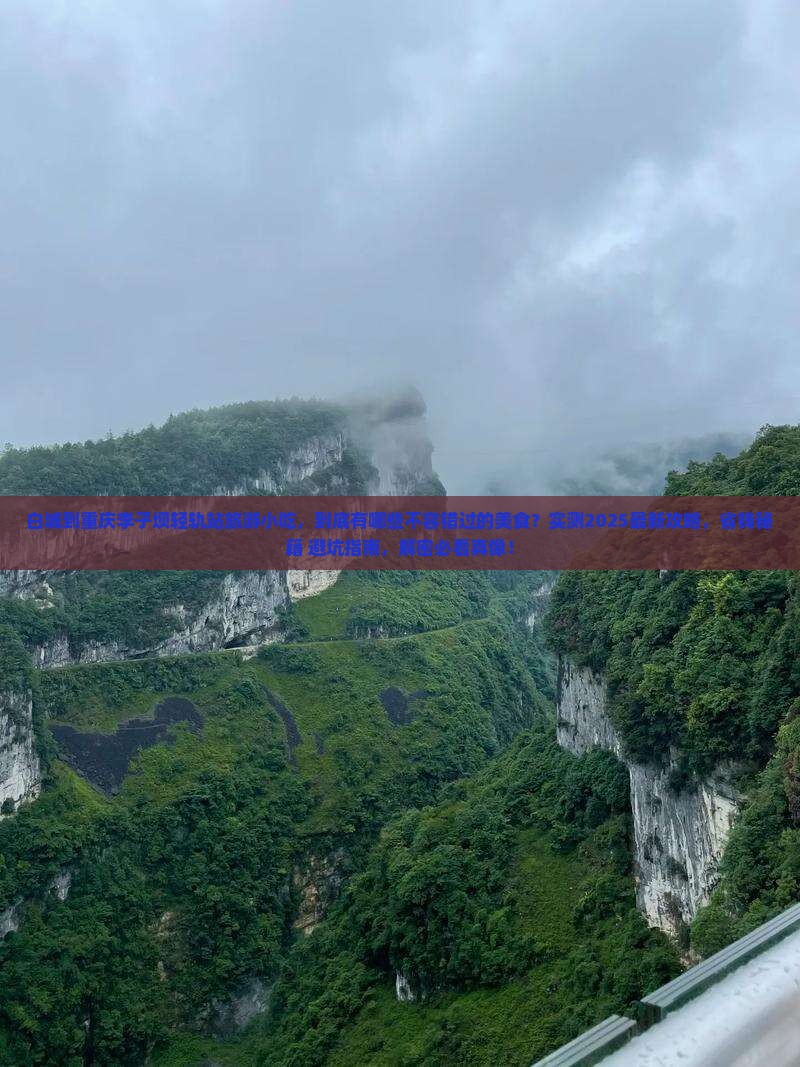白城到重庆李子坝轻轨站旅游小吃