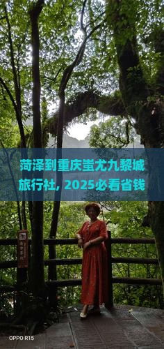 菏泽到重庆蚩尤九黎城旅行社