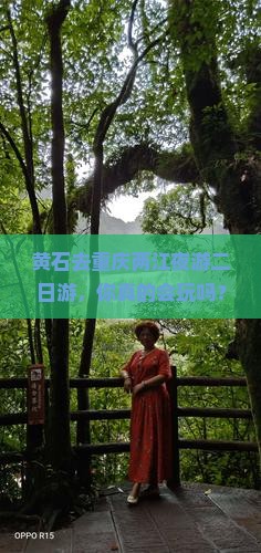 黄石去重庆两江夜游二日游