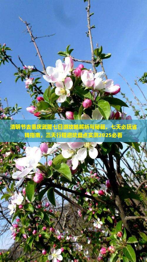 清明节去重庆武隆七日游 清明节去重庆武隆七日游