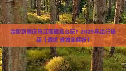 哈密去重庆乌江画廊攻略
