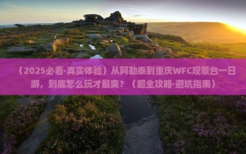 阿勒泰到重庆wfc观景台一日