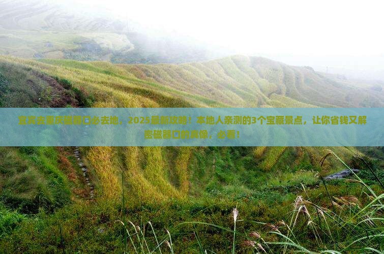 宜宾去重庆磁器口必去地 宜宾去重庆磁器口必去地