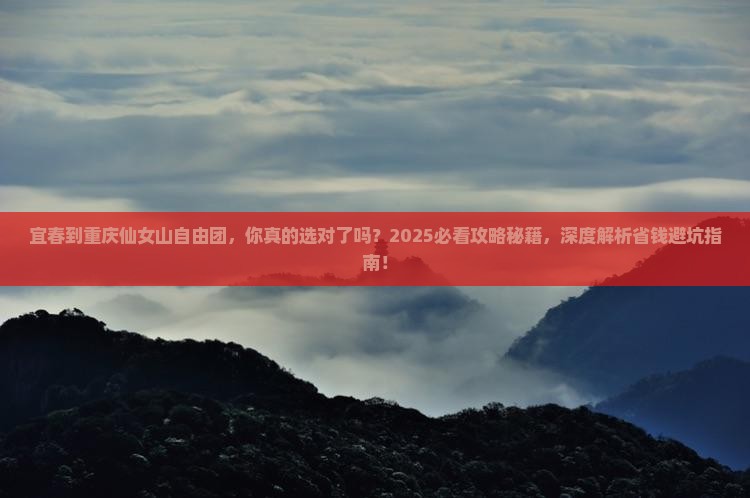 宜春到重庆仙女山自由团