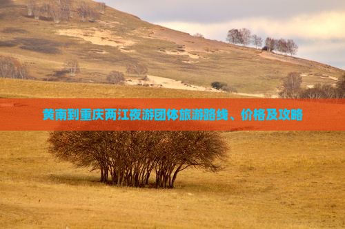 黄南到重庆两江夜游团体旅游