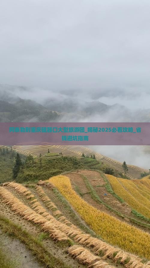 阿泰勒到重庆磁器口大型旅游团