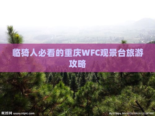 临猗去重庆wfc观景台必去地