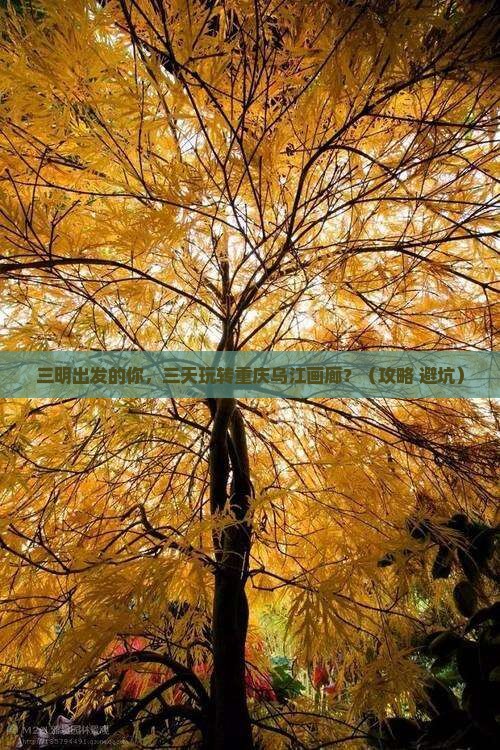 三明到重庆乌江画廊三日游