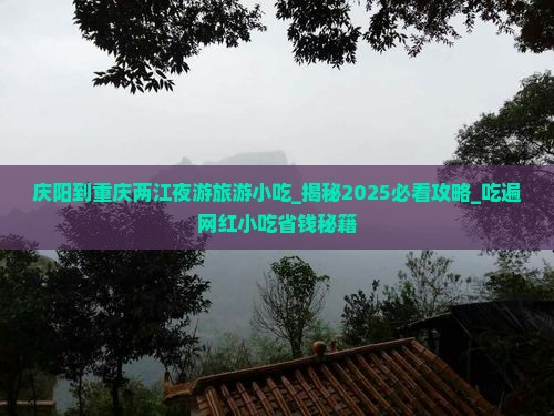 庆阳到重庆两江夜游旅游小吃