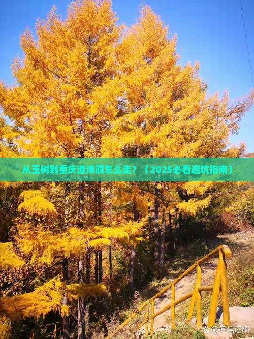 玉树去重庆渣滓洞门票