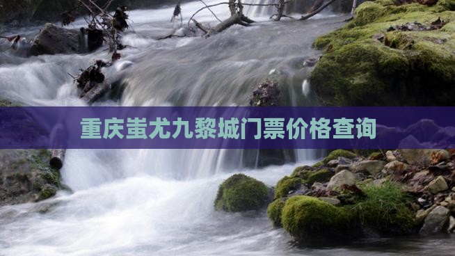 新余到重庆蚩尤九黎城门票