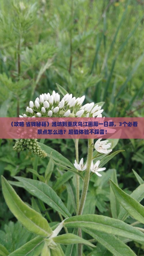 潍坊到重庆乌江画廊一日