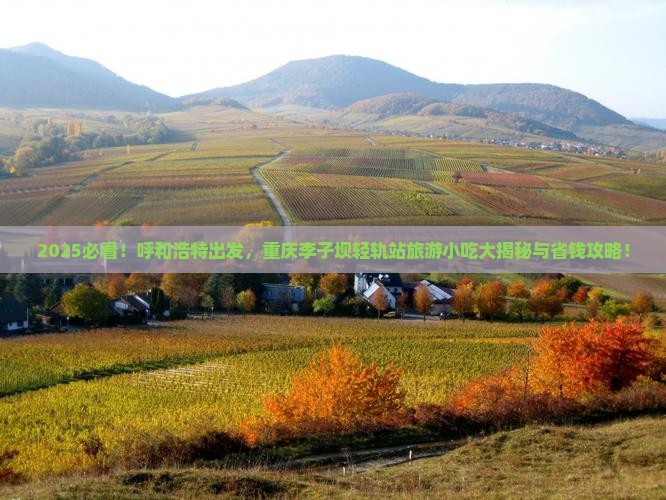 呼和浩特去重庆李子坝轻轨站旅游小吃