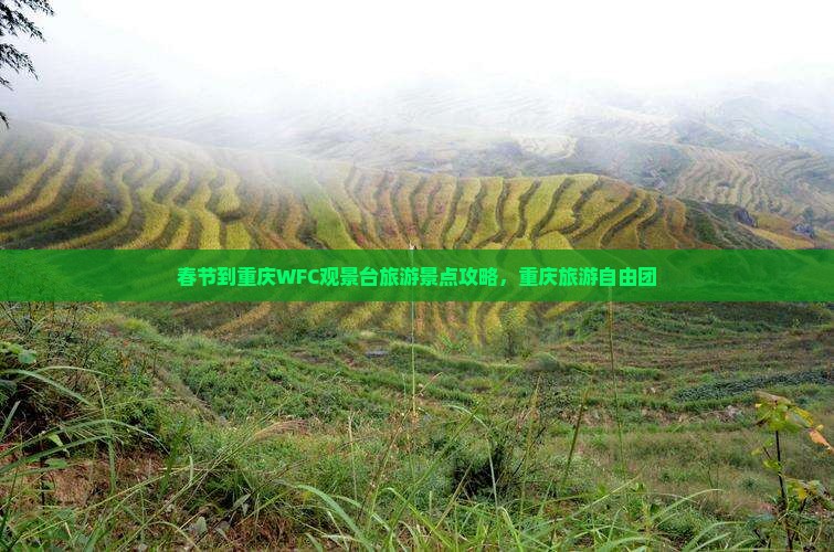 春节到重庆wfc观景台自由团