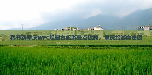 春节到重庆wfc观景台自由团
