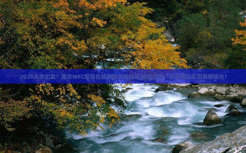 大庆到重庆wfc观景台大型旅游团