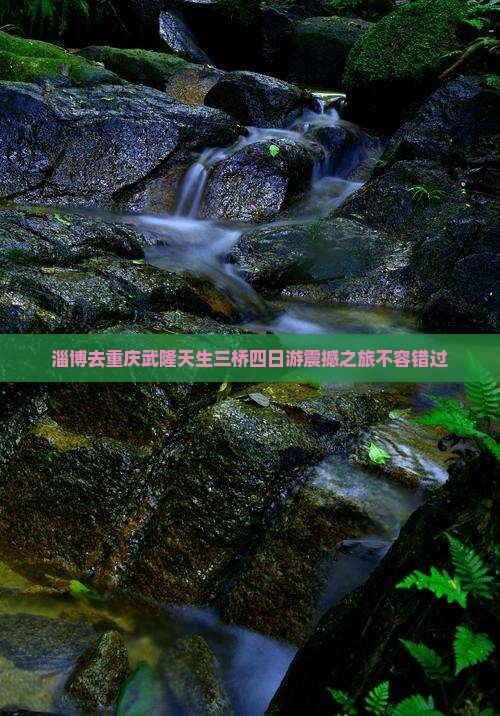 淄博去重庆武隆天生三桥四日游