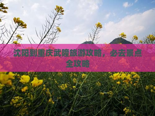 沈阳到重庆武隆必去地