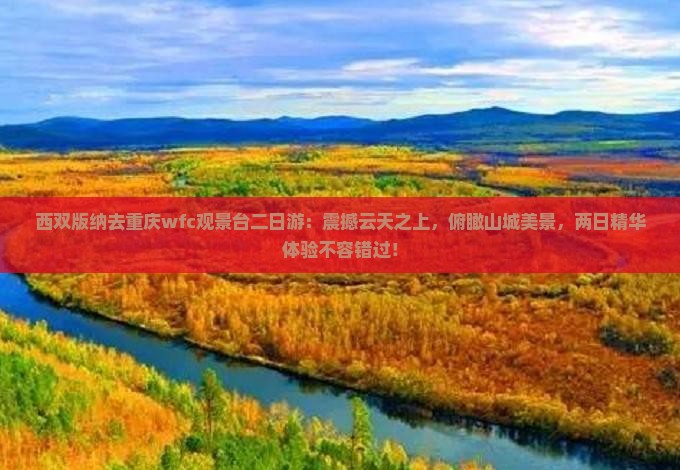 西双版纳去重庆wfc观景台二日游
