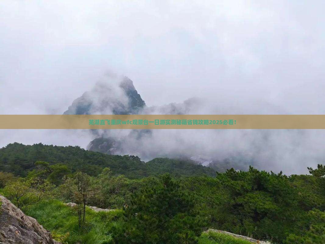 芜湖到重庆wfc观景台一日