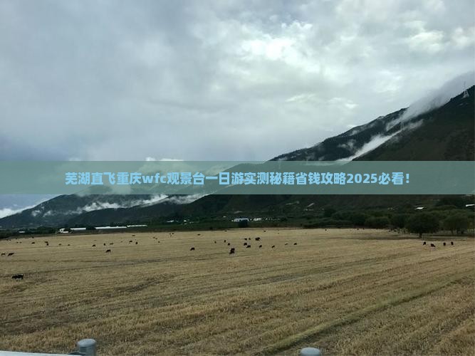 芜湖到重庆wfc观景台一日