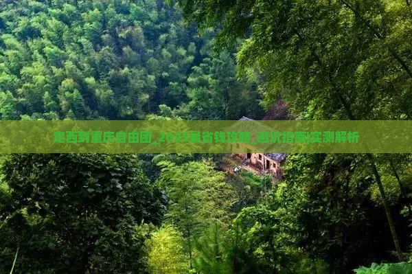 定西到重庆自由团