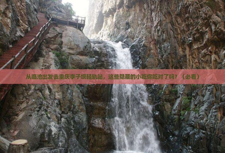 临沧去重庆李子坝轻轨站旅游小吃