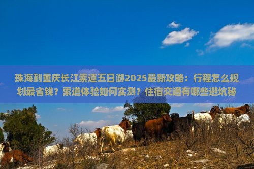 珠海到重庆长江索道五日游