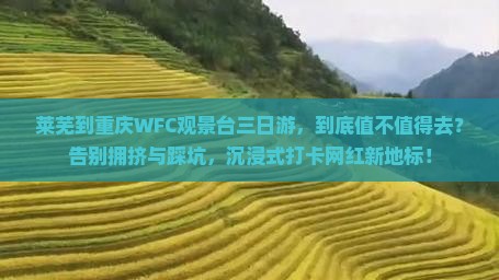 莱芜到重庆wfc观景台三日游