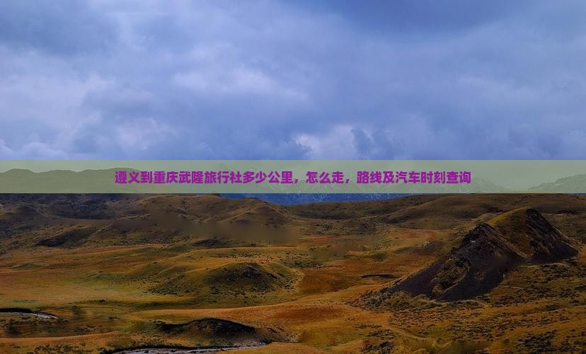 遵义到重庆武隆旅行社