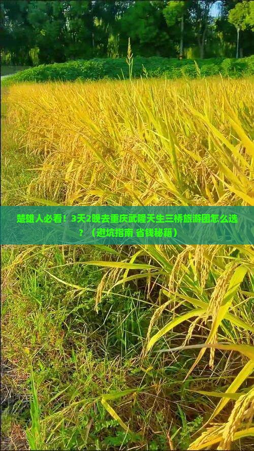 楚雄去重庆武隆天生三桥大型旅游团