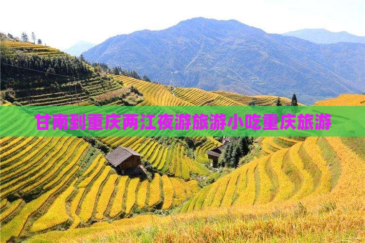 甘南到重庆两江夜游旅游小吃