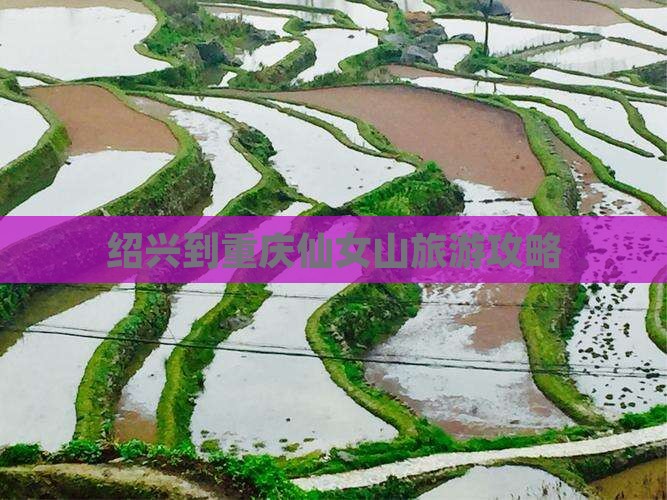 绍兴到重庆仙女山旅游攻略