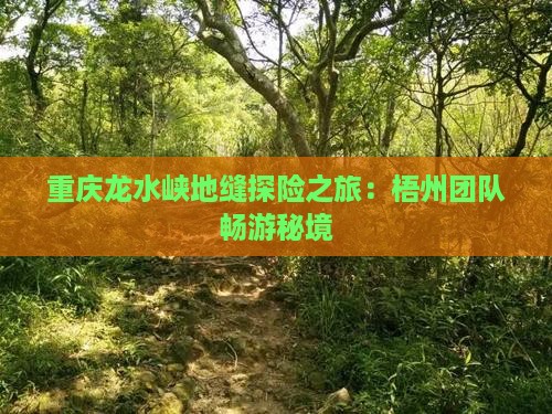 重庆龙水峡地缝探险之旅：梧州团队畅游秘境